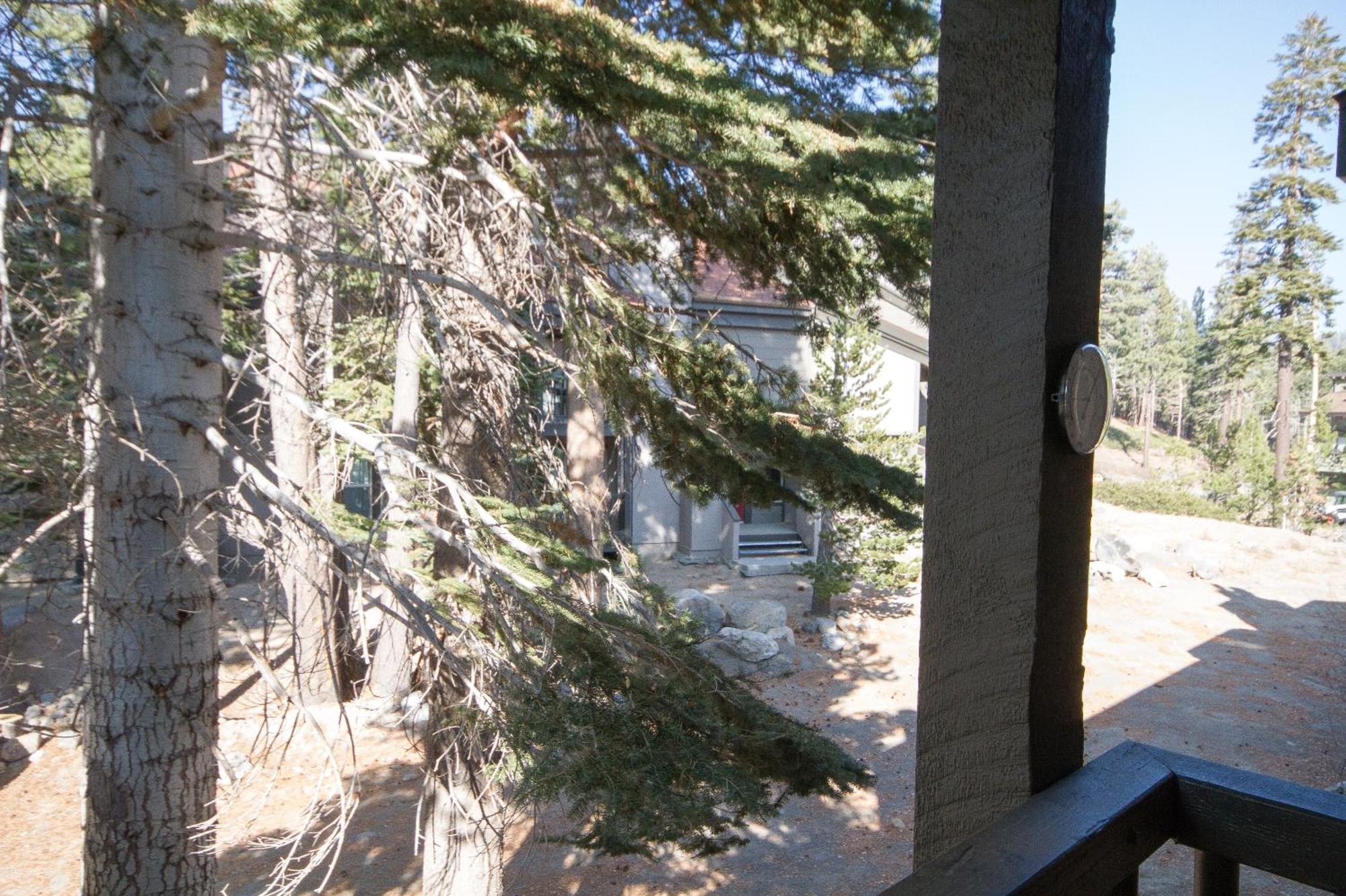 Chamonix #36 Villa Mammoth Lakes Buitenkant foto